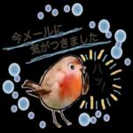 使える 小鳥の日常会話