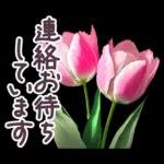 毎日使える お花 敬語✿大人上品お花