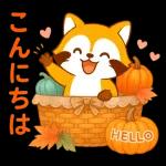 ほっこり秋タヌキ～～