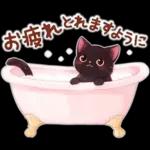 黒猫のつめあわせ♪