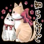 仲良しねこ♡気使いいっぱいスタンプ_-