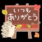 大人の気遣い♡31秋ふわり