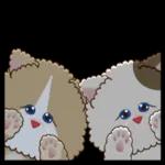 猫と仲間達♡日常。～