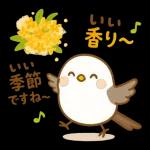 「ほっこり秋のひとこと」