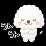 ず～っと使える♡かわいいトイプーさん♡白