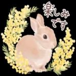 かわいらしい小さな花だ