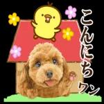 おつかれ
of Ho to
さま
です