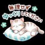 大人かわいいひとことメッセージ＊