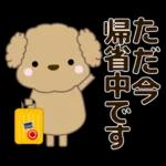 🐶犬の冒険物語