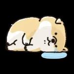 むちころばんばん