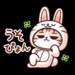 猫のつめあわせ④【ダジャレ】