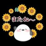 【シマエナガです】花束/夏のひまわり4