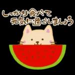 大人女子のためのHappy夏スタンプ