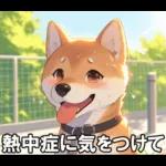 夏の天気をお知らせする柴犬【便利・日常】