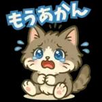 ゆるっと関西弁＊ええニャン＊