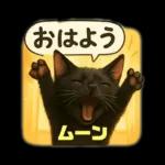 黒猫のムーンちゃん