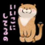 可愛い嘘のカワウソ❤️