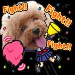 トイプーらっちゃんのなりきり編<日常言葉>