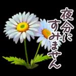 毎日使える お花 敬語✿大人上品お花