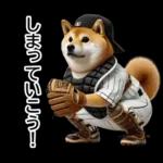 リアル野球しば犬
