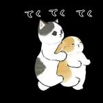 ずっとあなたを守ります😊😊😊