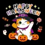 三毛猫のつめあわせ【秋】