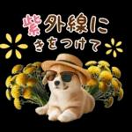 よかった
です!
upda