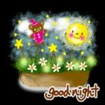 Good
Night
