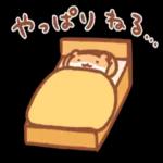 ニャー星人の楽園🥰