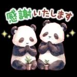 แพนด้าด้วยความเคารพ