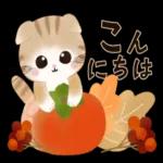 水彩♡ふわふわ♡秋の子猫