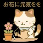 雨の多い夏に暮らす三毛猫の物語