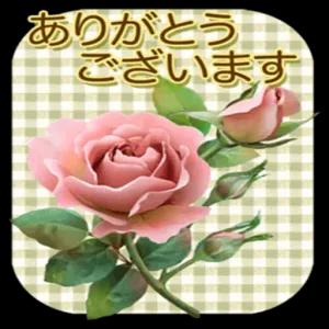 xnhfnd7