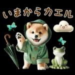 今日も頑張ったね！！