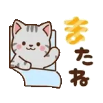 動く！ミル&モカ 毎日使える定番