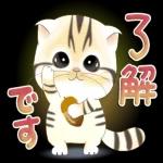 かわいい猫😺が来ますよ！