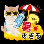かわいい猫❤️大人かわいい夏❤️猫にゃん