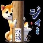 柴にゃんスタンプ
