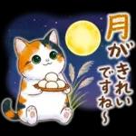 三毛猫のつめあわせ【秋】