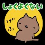 ねこの絵文字いっぱい😽💕