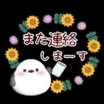 【シマエナガです】花束/夏のひまわり4