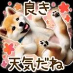 喜怒哀楽の激しい柴犬の野菜ダンス