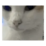 気持ちが伝わる日常メッセージ☆