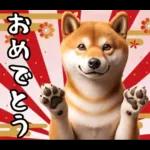 柴犬のあけおめスタンプ