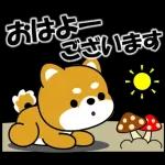 おはよー
ございまぁ