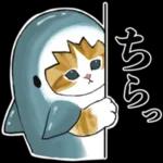 サメにゃん_----