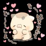 いつも前向きで頑張りや！