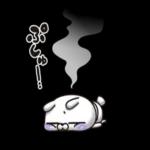 🌼春の息吹パッケージ