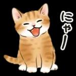 毎日☆猫たちのスタンプ