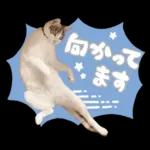 まるちゃんスタンプ＃1